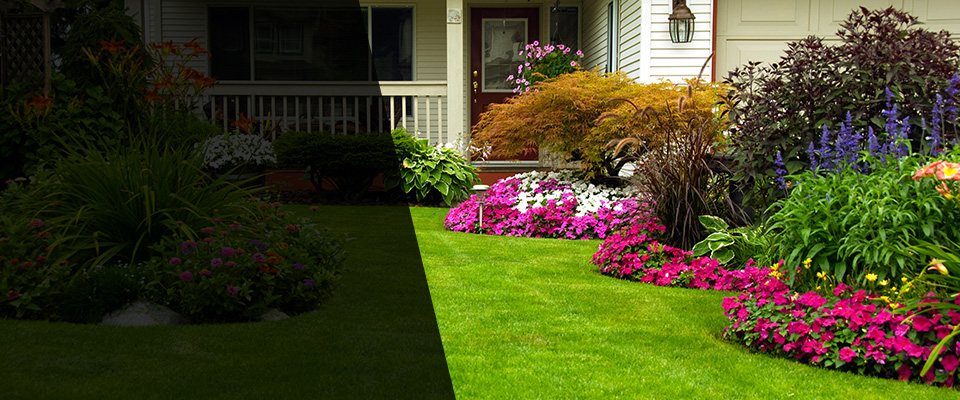 Lakeview Landscapers